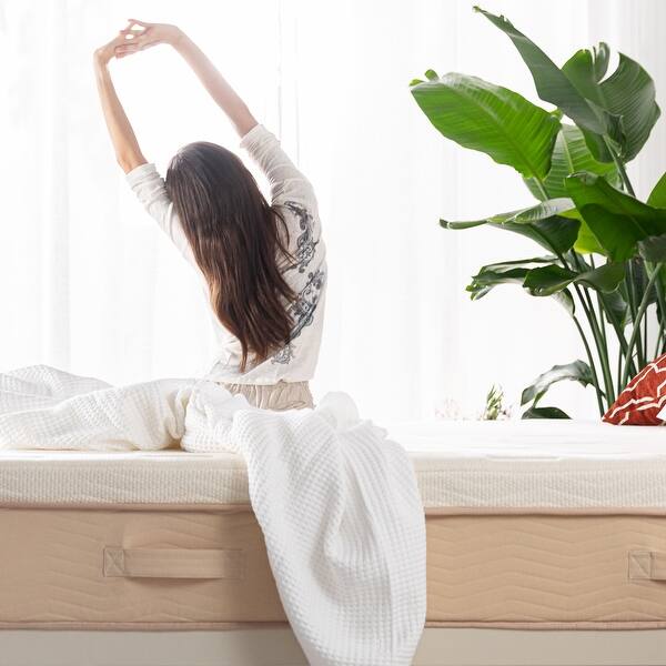 HAVN 12Inch Bamboo Charcoal Memory Foam Mattress with Odor and Moisture